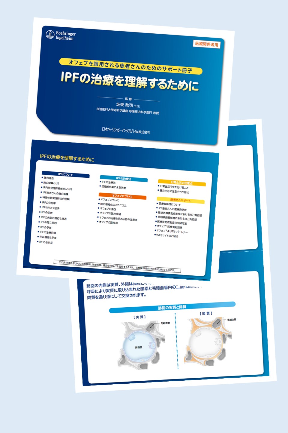 オフェブを服用される患者さんのためのサポート冊子 特発性肺線維症(IPF)の治療を理解するために