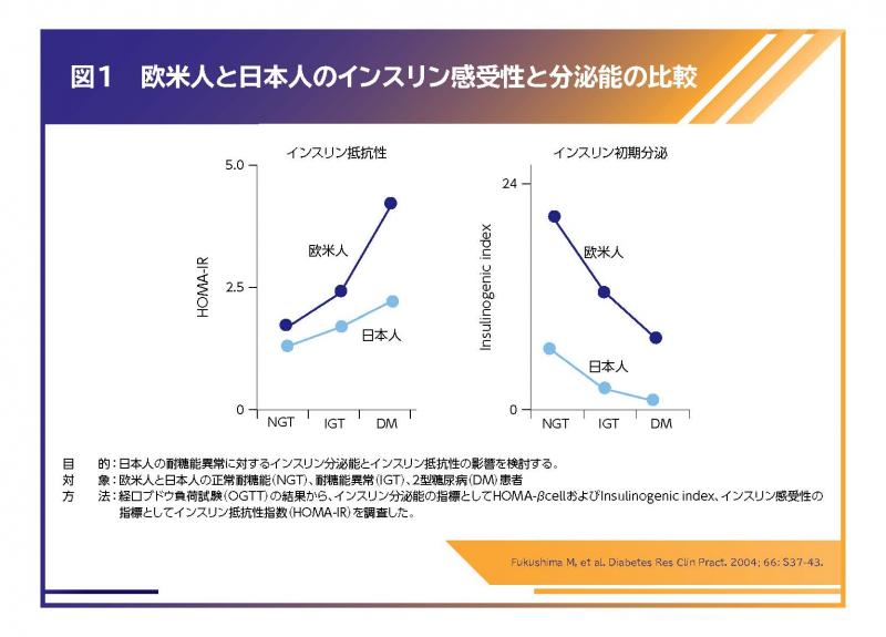 2型糖尿病の病態や表現型における人種差