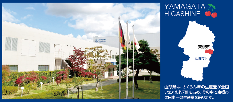 世界最高水準の山形工場をご紹介します。 患者さんのもとへプリズバインド🄬が届くまで