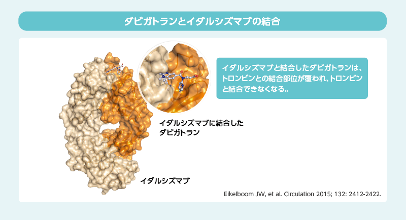 ●プリズバインド®について