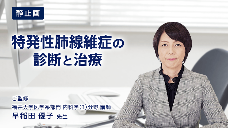 早稲田 優子先生