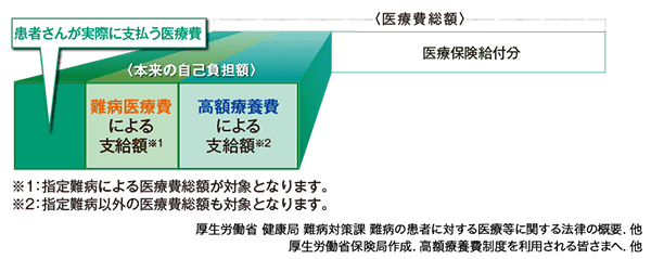 図1 難病医療費および高額療養費で助成されるイメージ