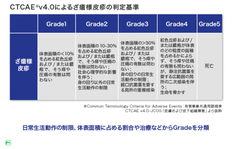 表1 ざ瘡様皮疹の評価法