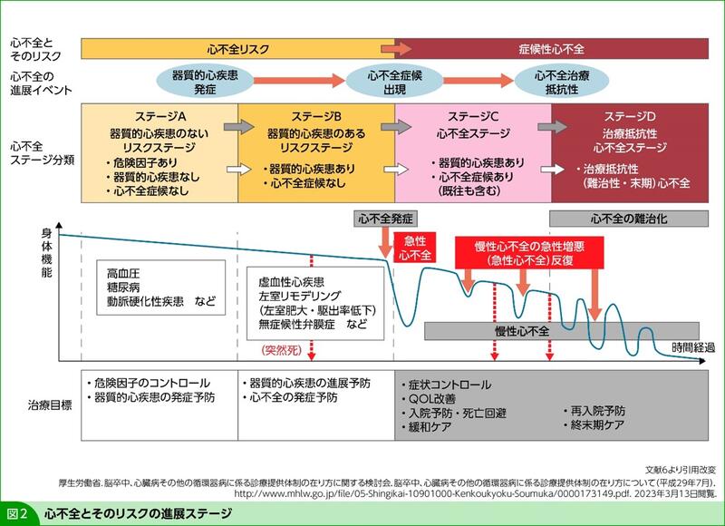 COPDと心不全の診断における質的な違い