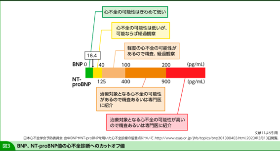 COPD患者における心不全スクリーニング