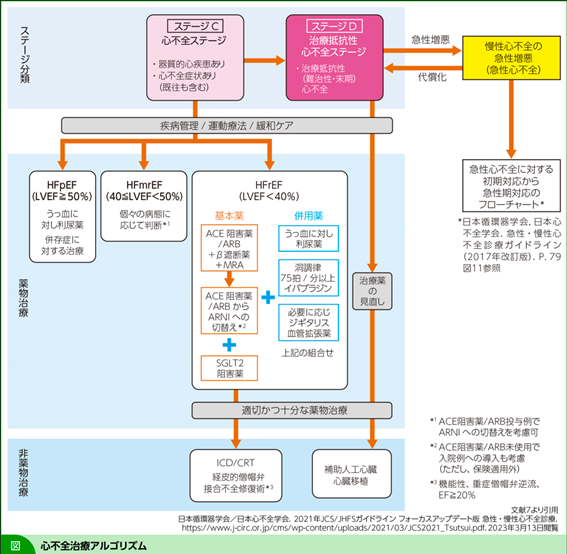 心不全ガイドラインにおけるCOPD併存時の薬物療法