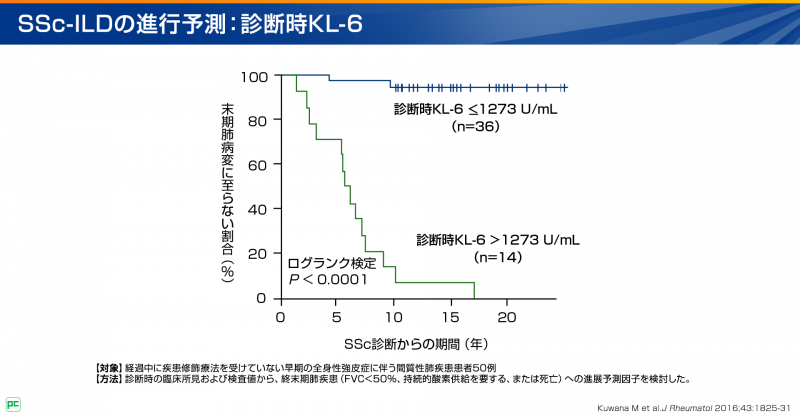 SSc-ILD診断の解説パート07