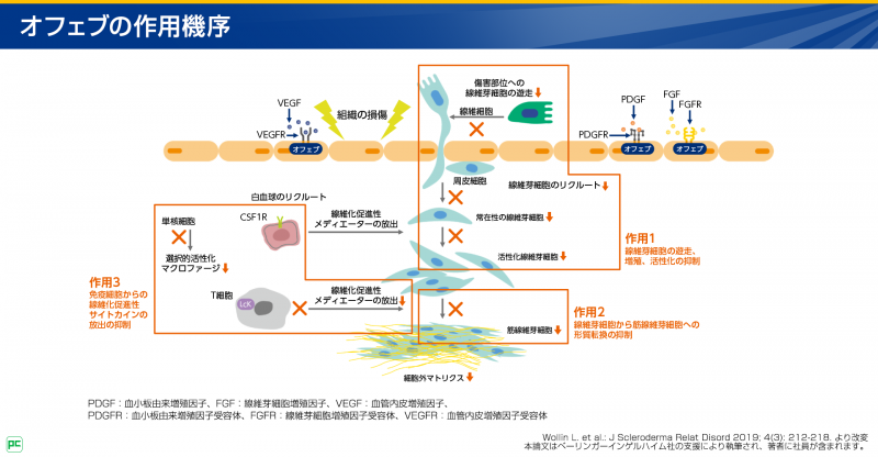 オフェブの作用機序