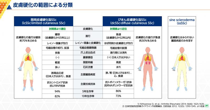 皮膚効果の範囲による分類