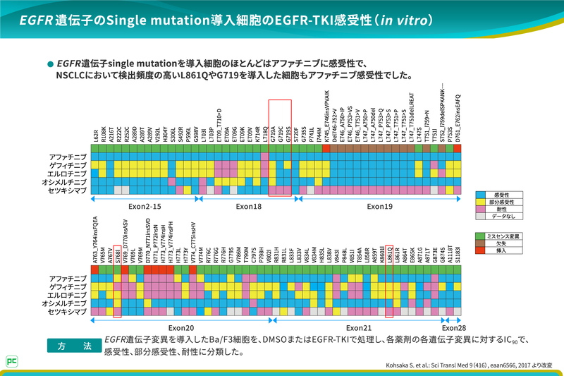 こうしたデータに基づいて、私はExon20挿入以外のUncommon mutationに関しては、どのバリアントであっても基本的にはジオトリフを選択肢のひとつとして検討しています。
