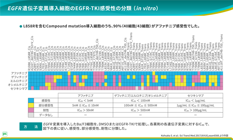 Specialist Interview第3回