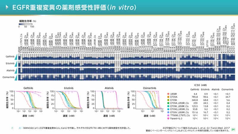 EGFR遺伝子変異別レジメン比較(マウス)