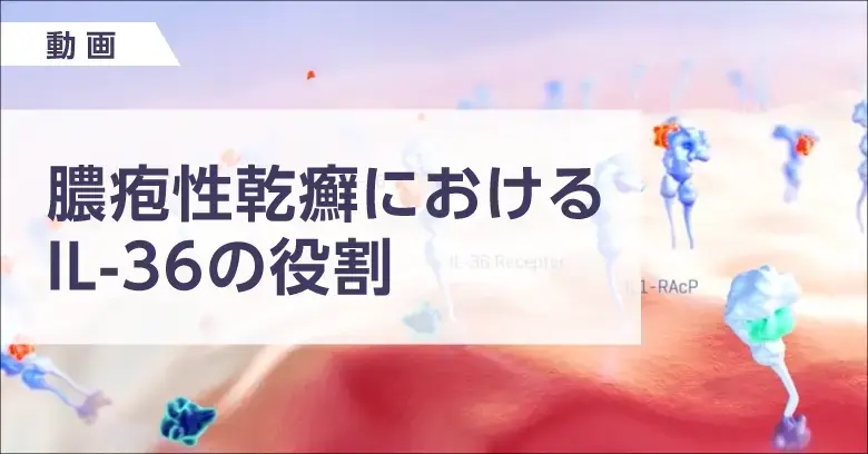 動画「膿疱性乾癬におけるIL-36の役割」