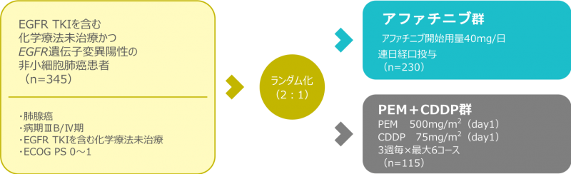 LUX-Lung 3試験(検証試験)の概要
